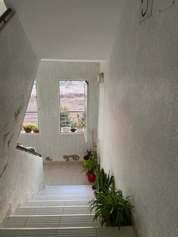 ساليه Lovely Appartement المظهر الخارجي الصورة